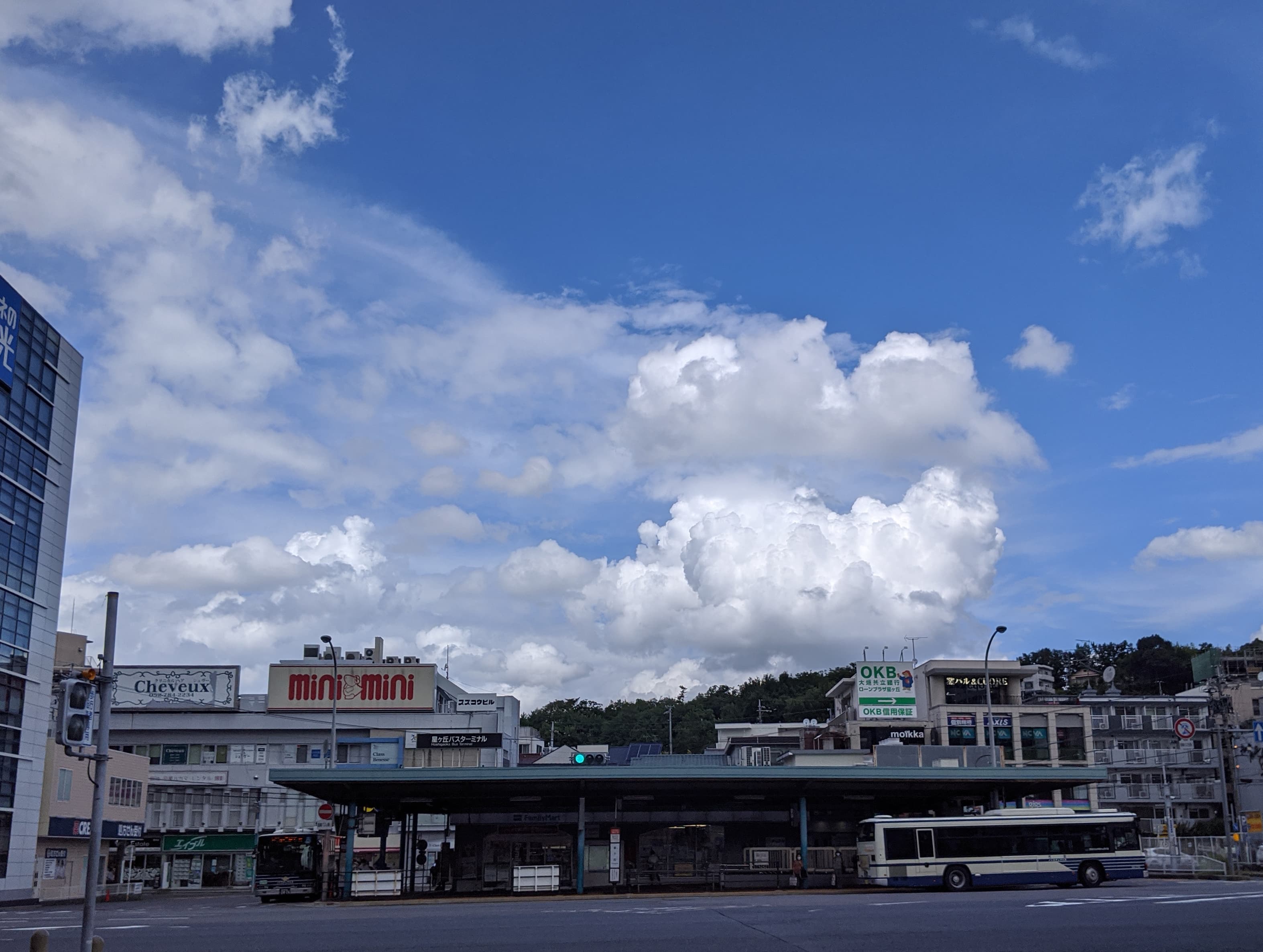星ヶ丘エリアをイメージしたファミリー向けの住空間