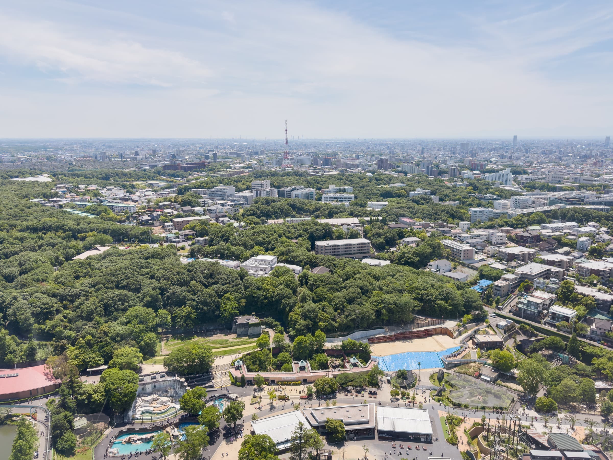 昭和区の落ち着いた街並みと緑の景色