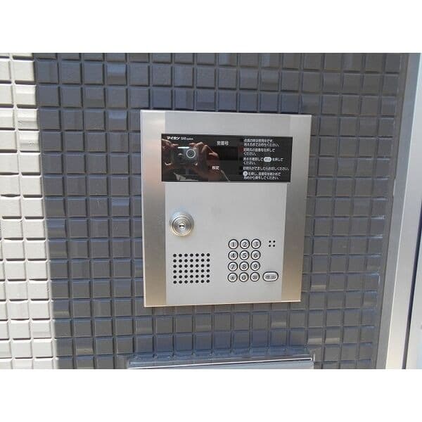 Mille Grainesの写真