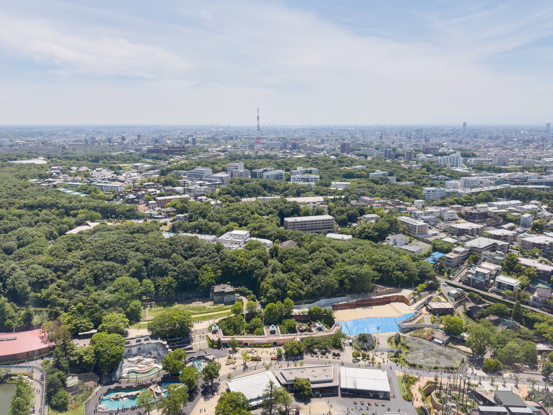 昭和区の落ち着いた街並みと緑の景色